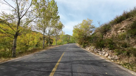 秋天森林道路开车自驾游森林公路大自然视频