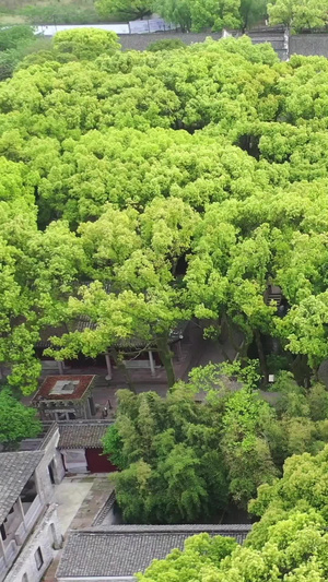5A景区宁波天一阁古建筑航拍视频宁波城市风光39秒视频