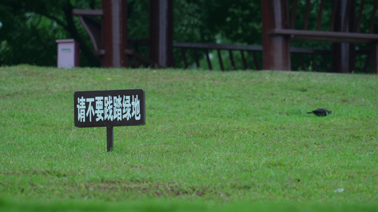 武汉光谷西苑公园风景视频