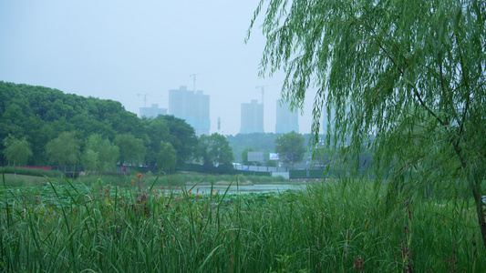 武汉光谷西苑公园风景视频