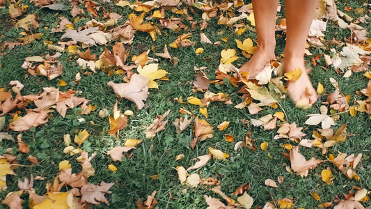 女人在秋天公园散步视频