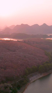 航拍日落时分贵州网红打卡地樱花谷视频素材艺术渲染视频