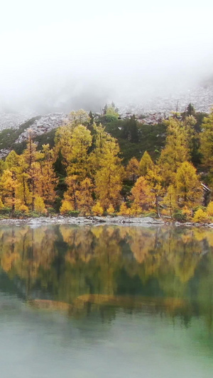 航拍高原海子湖泊云雾缭绕的秋色高海拔40秒视频
