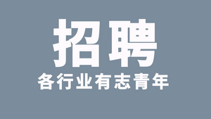 简洁线上招聘图文快闪文字AE模板28秒视频