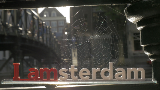 i Amsterdam和蜘蛛网视频