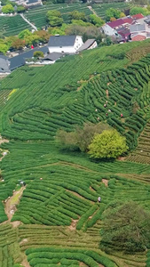 【旅游宣传片】浙江杭州十里琅珰茶园合集南方小镇视频