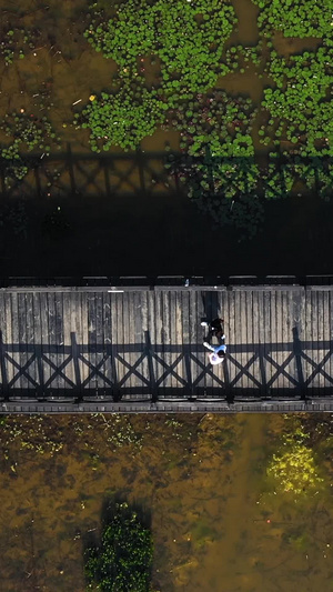 俯拍5A景点春秋淹城遗址公园内城结构视频旅游景区114秒视频