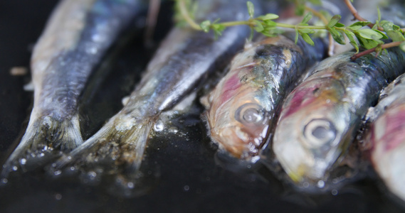 烧烤食物烤肉沙丁鱼视频