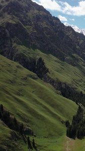 伊犁昭苏4A景区夏塔森林公园雪山下的夏塔古道航拍视频旅游景点视频