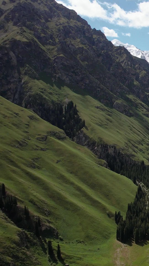 伊犁昭苏4A景区夏塔森林公园雪山下的夏塔古道航拍视频旅游景点58秒视频