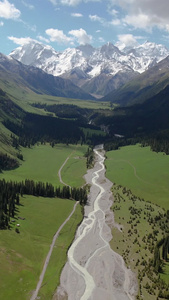 伊犁昭苏4A景区夏塔森林公园雪山下的夏塔古道航拍视频旅游景区视频