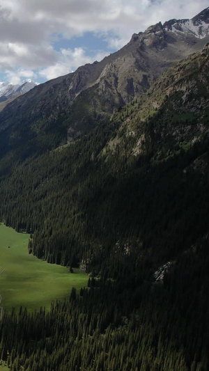 伊犁昭苏4A景区夏塔森林公园雪山下的夏塔古道航拍视频自驾旅游58秒视频