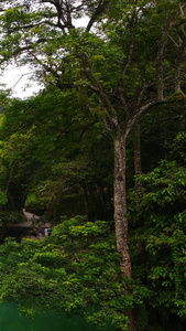 历史建筑荔波小七孔桥荔波七小孔景区视频