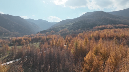 实拍山中秋景视频