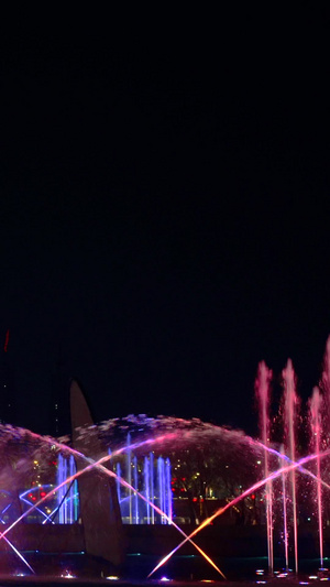 唯美杭州CBD音乐喷泉夜景市民中心22秒视频