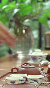 休闲饮茶实拍茶具展示视频