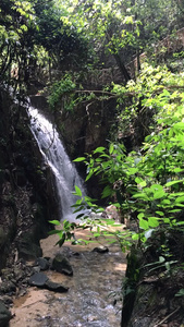 广东清远天子山景区溪水风景视频