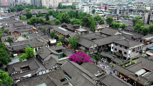 成都著名旅游景点宽窄巷子视频