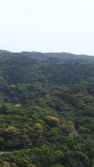 航拍佛山5A级西樵山风景名胜区4A景点55秒视频