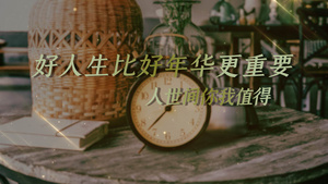 人世间幸福家庭温馨记录相册AE视频模板38秒视频