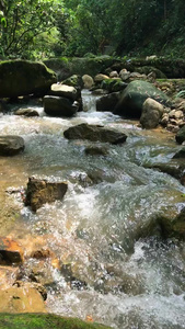 广东清远天子山景区溪水风景视频