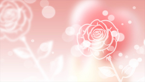 4K情人节唯美浪漫粉色梦幻玫瑰动态背景视频40秒视频