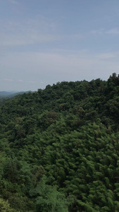 广东清远天子山风景视频