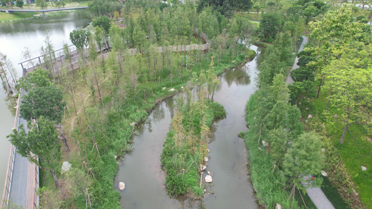 城市绿地公园景观航拍视频