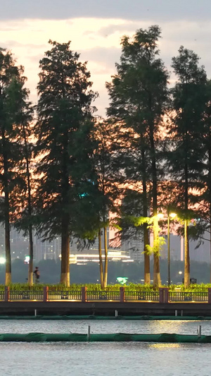 湖北5A级旅游景区东湖绿道夜景林荫道上骑车跑步健身的人群素材5A级景区53秒视频