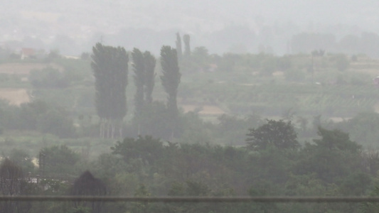 在暴风雨中与树木一起在山谷降下雨水视频