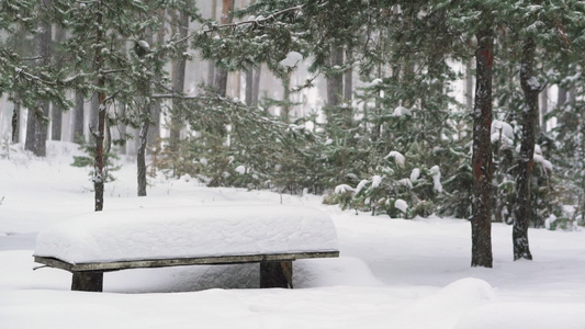 森林里满是雪的长凳视频