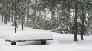 森林里满是雪的长凳18秒视频