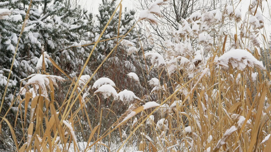 冬季雪景观视频