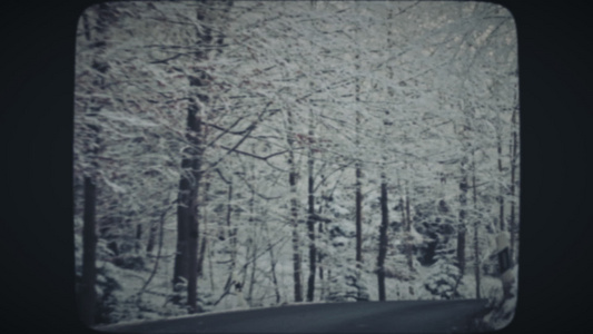 在冬季驾车穿过雪林视频