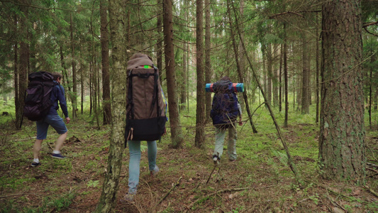 一群背着包走在迷幻森林的游客视频