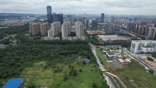 台风天气中的城市视频