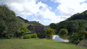 红树叶和度假村18秒视频