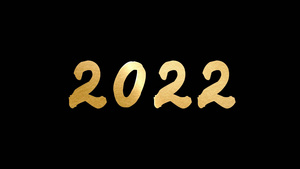 2022年书写动画15秒视频