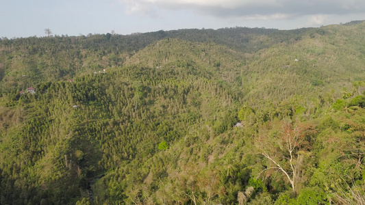 热带景观雨林和山丘视频