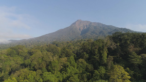 雨林和山丘30秒视频