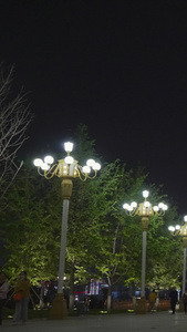 武汉地标历史博物馆建筑夜景街景人流素材夜景素材视频