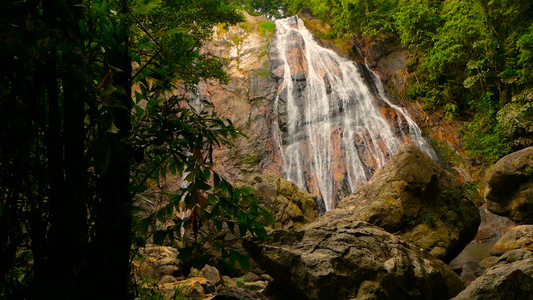热带国家的丛林天堂景观。绿色雨林中的瀑布级联。从悬崖上的水流运动视频
