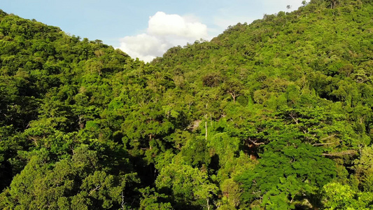 山上的绿色丛林。生长在苏梅岛丘陵地带的热带树木。通往山脉无人机视图之间的瀑布的方式。亚洲的热带雨林景观。环保理视频