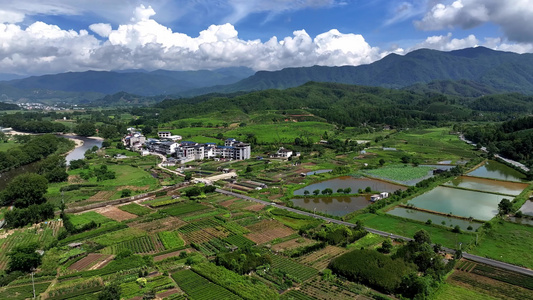 清晨茶山茶园茶农采茶航拍宣传视频