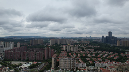 台风天气中的城市视频