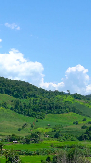 泰国北部夏日蓝天白云乡村风光合集25秒视频