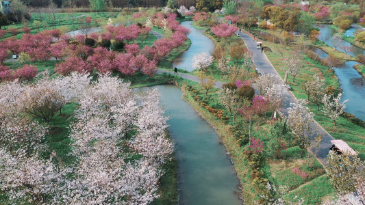 上海花开海上生态园视频