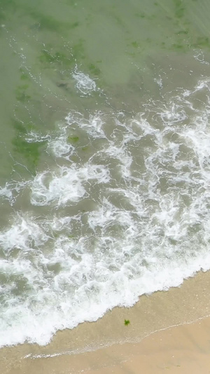 海边沙滩漫步的游客海平面17秒视频