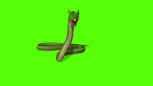 蛇攻击动绿幕26秒视频