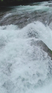 夏日森林山间流水视频